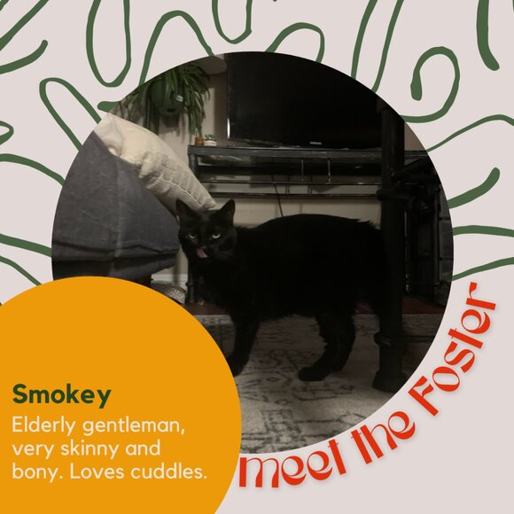 Meet the fosters! - Picture 10 of 15